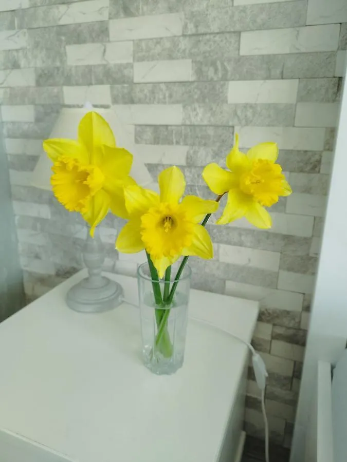 Aпартамент 5 Apartment Varna