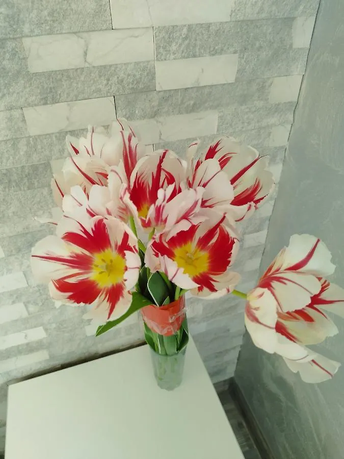Aпартамент 5 Apartment Varna